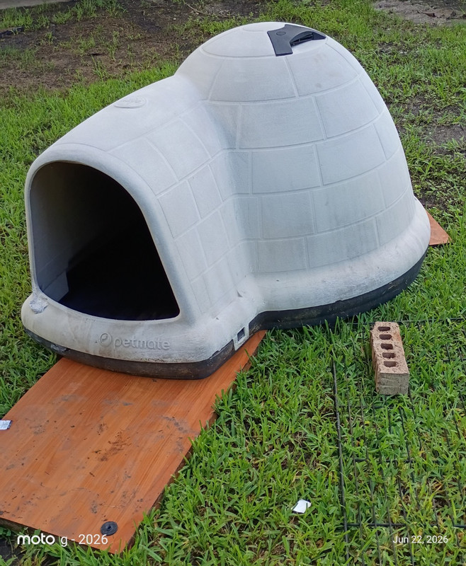 Petmate Dogloo Outdoor Plastic Dog House Portable Large Igloo Style Shelter