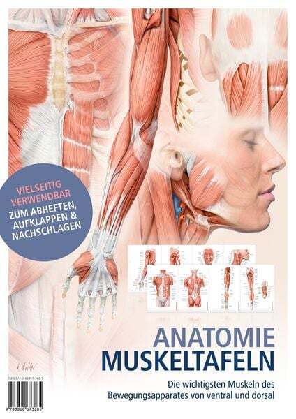 Thumbnail - Anatomie-muskeltafeln
