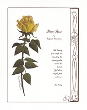American Beauty Rose and Peace Rose Art Poem Virginia Cummins 8x10 in Set of 2