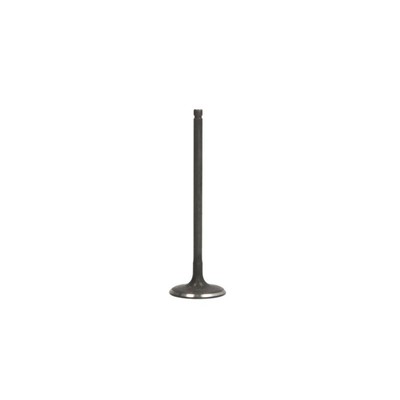 Einlassventil FRECCIA R6773/SNT