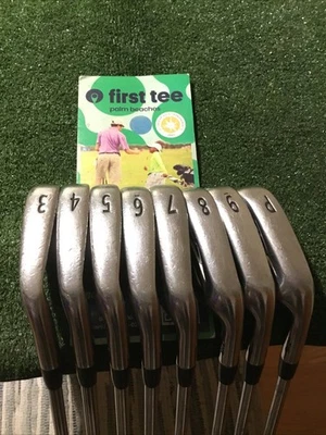 Titleist Ap2 Forged Irons for sale - eBay