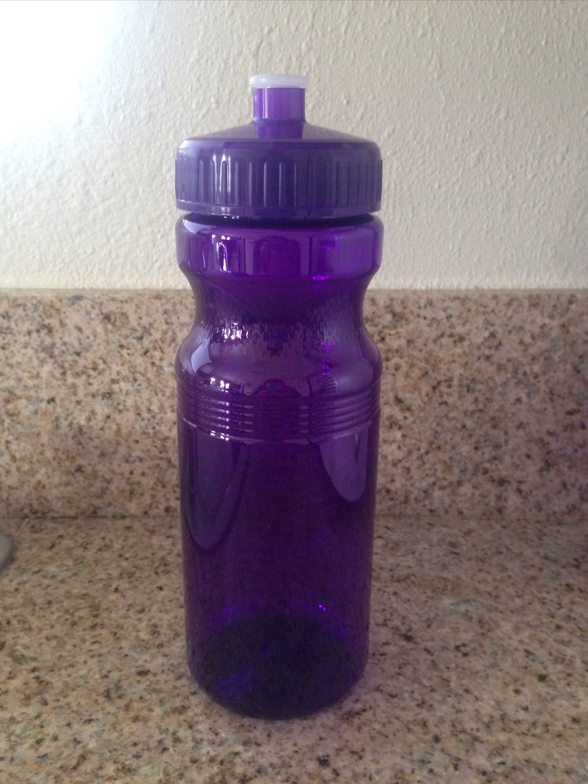 100 Bulk Box 24 Ounce Purple Water Bottles USA Made
