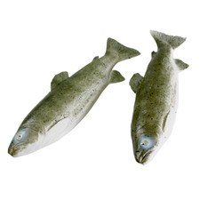 Deko-Forellen 2 St&uuml;ck Lebensmittel Attrappen Kunststoff Fische Fake Dummy 33 cm