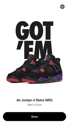 drake raptors jordans