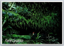 The Fern Grotto Natural Garden Kauai Wailua River Vintage Postcard Hawaii