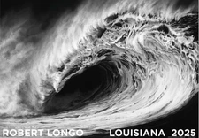 Robert Longo “Helion” (from larger work “Monsters”)