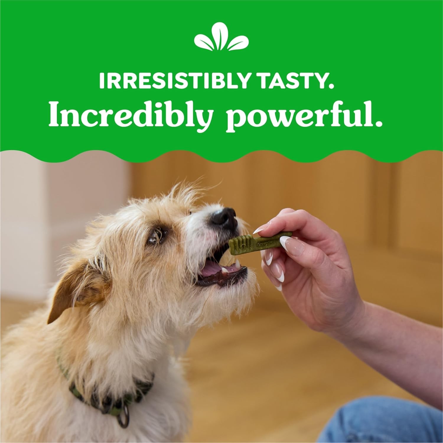 GREENIES Original TEENIE Dental Dog Treats 192 Count Free Shipping