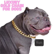 Fashion Gold Chain Dog Collar Stylish Adjustable Pet Jewelry Small Medium 20"