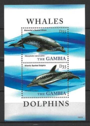 The Gambia 2010 Whales Block No. 738 New Choice of 1 - Picture 1 of 1