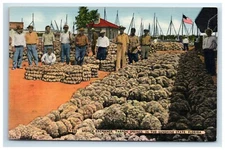 Postcard Sponge Exchange Tarpon Springs Florida Sunshine State Linen UNP