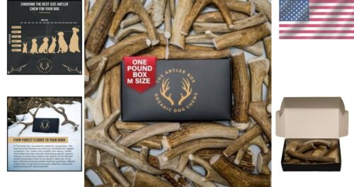 Natural Elk Flavor Antler Chews - Bulk 1 lb Pack for Dogs' Dental Care - Picture 2 of 8