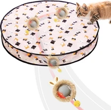 Interactive Cat Toy Ball Fast Rolling in Pouch, Motion Activate Chirping Sensory