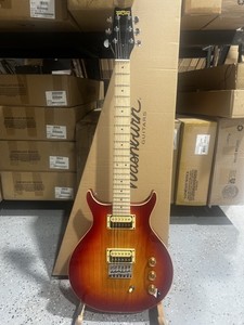 Washburn Guitar Wi14 | eBay