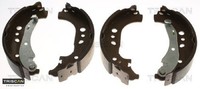 Triscan 810029005 Bremsbackensatz 4 Bremsbacken Trommelbremse