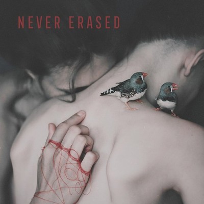 VARIOUS ARTISTS - NEVER ERASED - Vinyl Record - F600z