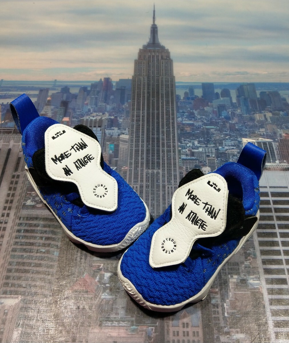 lebron james more than an athlete shoes