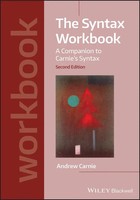 Andrew Carnie | The Syntax Workbook | Taschenbuch | Englisch (2021) | 304 S.