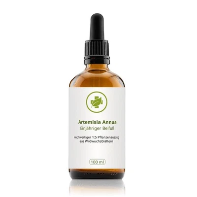 Artemisia annua Tinktur 100 ml - einjähriger Beifuß - Hochwertiger 1:5 Auszug - Bild 1 von 2