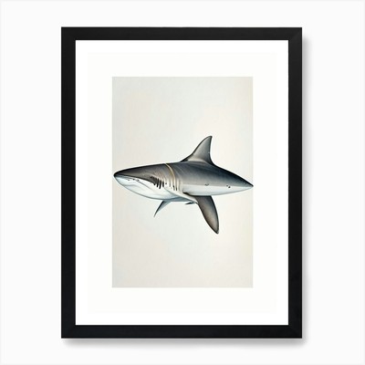 Dusky Shark Vintage Art Print Framed Wall Art Poster Canvas Print Picture