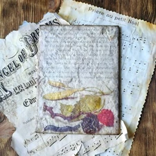 Wall Art Home Decor Artificially Aged Botanical Illustration  Vintage Style