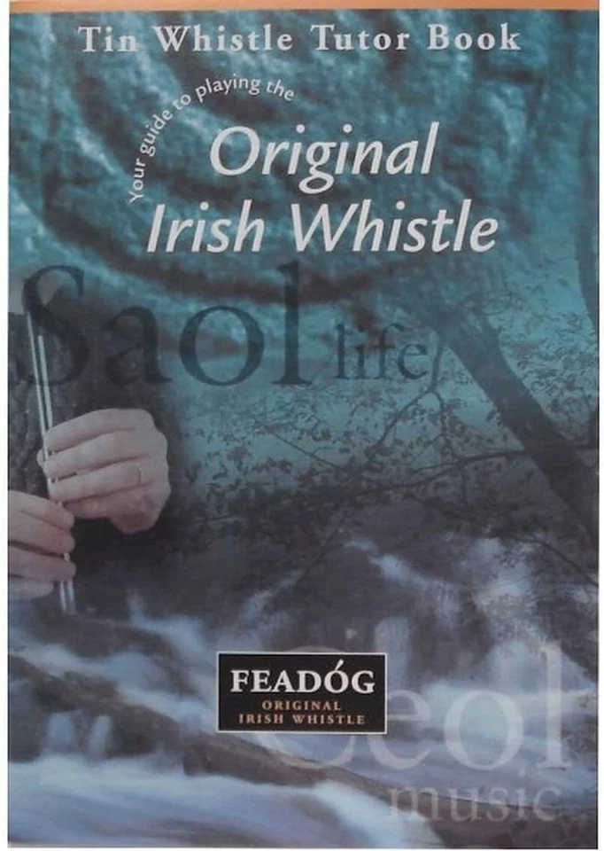 Набор из 2 никелевых ирландских оловянных свистков Feadog с ключом D и C и учебником - Изображение 3 из 4
