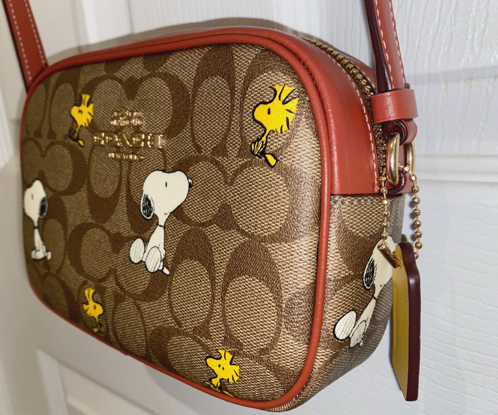 COACH × PEANUTS-