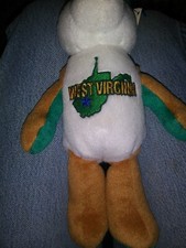 Limited Treasures Coin Bears 35 West Virginia