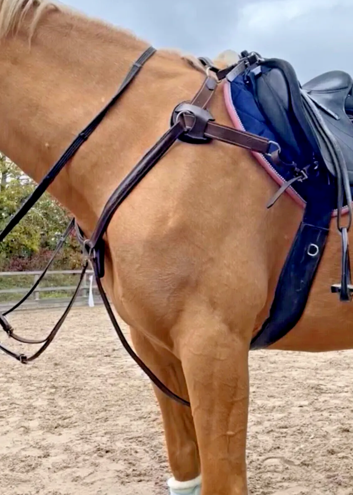 Plaque De Poitrail Pour Selle Anglaise Avec Martingale – Cuir Premium – Taille Poney/Full