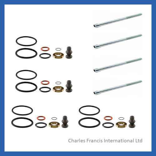 2x Bolts + 4 Gaskets Fuel Injector Holder Kit For VW Audi Skoda Seat – WHT005490