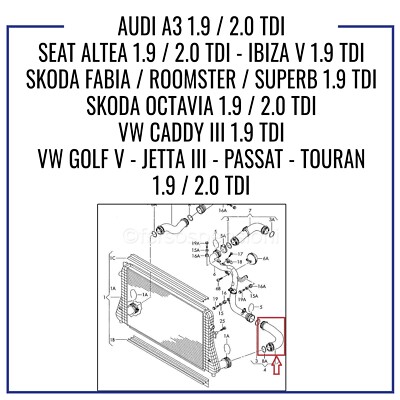 Manicotto Inferiore Destro Collettore Turbo Per Audi/VW, Impianto 3 Parti, Marca Unigom