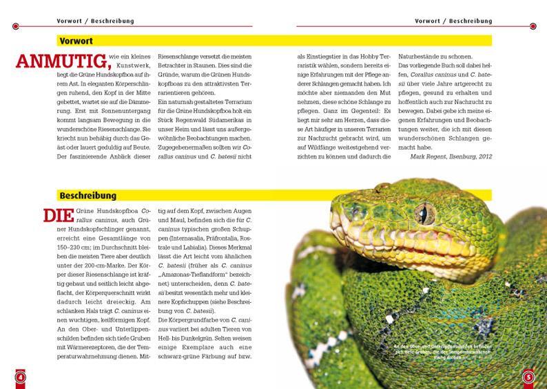 Thumbnail - Grüne Hundskopfschlinger Mark Regent