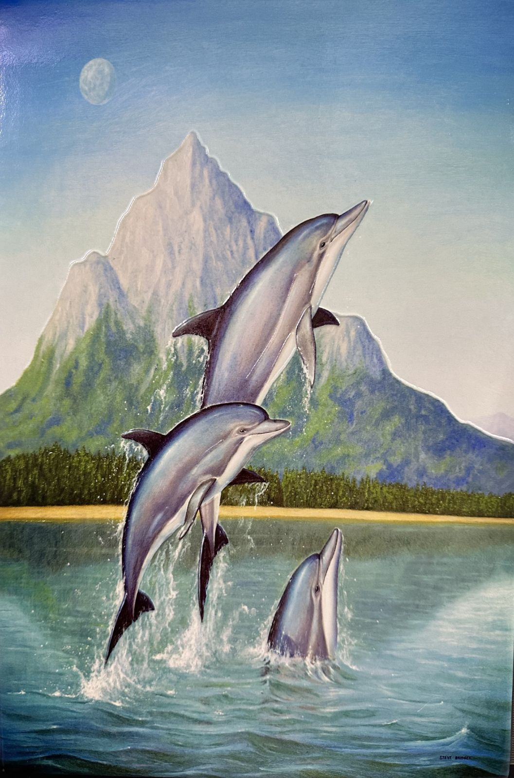 Dolphin Ceramic Wall Tile Nautical Tube Lined Picture Plaque, 30x20cm