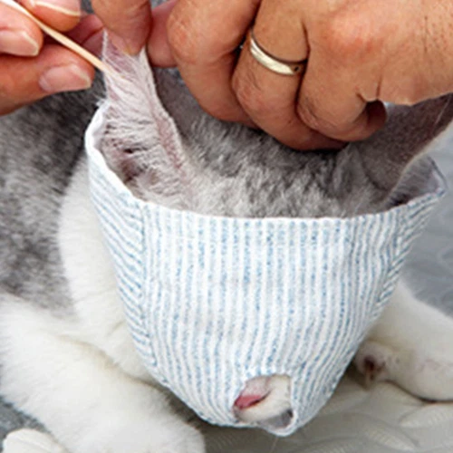Pet Cat Muzzle Anti-Bite Protective Cover Eye Mask Mouth Cover Breathable Hood - Picture 4 of 14