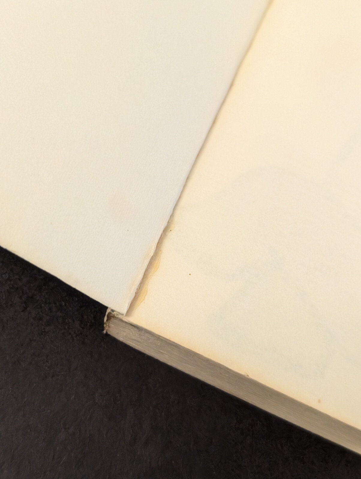 Hippo Cook Book - Hippopotamus Hamburger 1969 - Jack Falvey / Wolo Illustrated