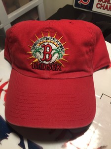 twins spring training hat