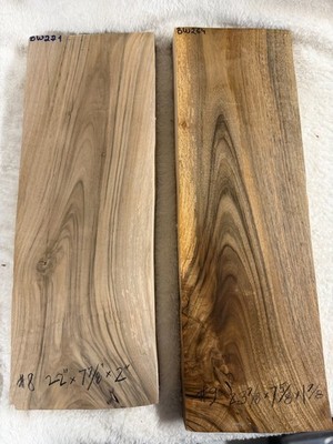 Black Walnut Wood Luthier Guitar Billet 22'' x 7-7/8'' x 2'' (#8)