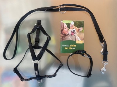 Set für Hunde Geschirr + Leine + Halsband in Größe M von AniOne + Geschenk