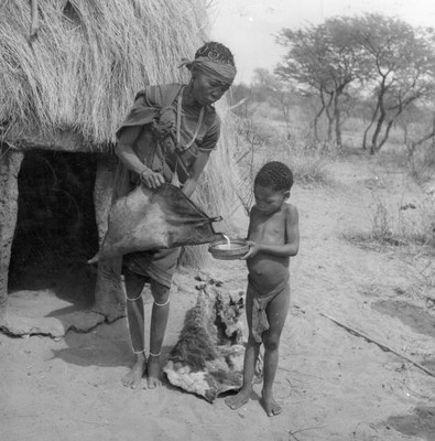 Home of a Kalahari bushman family in Bechuanaland Protectorate Goa- Old Photo