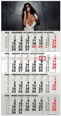 ANSCHÜTZ Sexy 4-Monatskalender Kompakt 2026 Bürokalender großer Erotik Wandkalender
