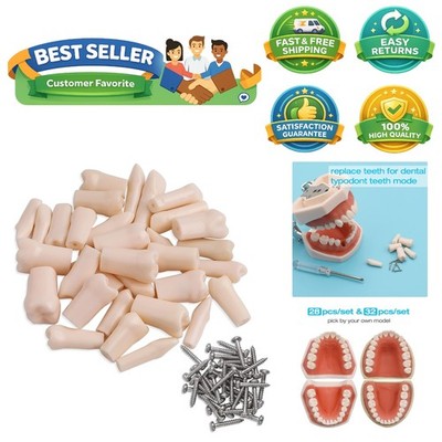 Smooth Surface 28 Pcs Typodont Teeth Set for Perfect Tooth Preparation Training