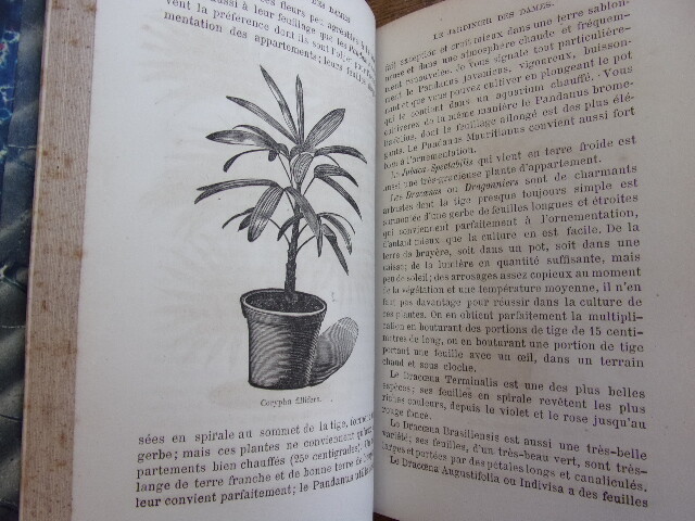 Picture 5 of 9