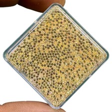 VVS 250 Pcs Natural Yellow Sapphire 1.2mm Round Diamond Cut Loose Gemstones Lot