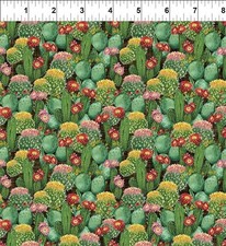In The Beginning Southwest Minis 15SWM1 Multi Cactus Field Cotton Fabric BTY
