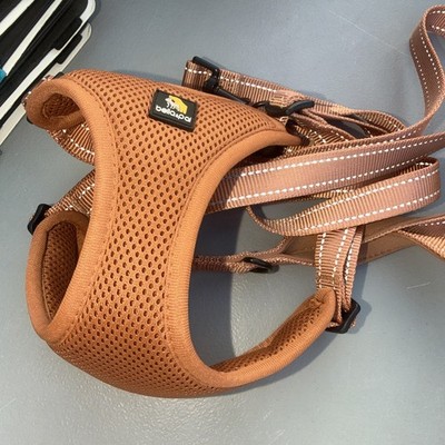 Orange Ruffwear Dog Harness Size Medium