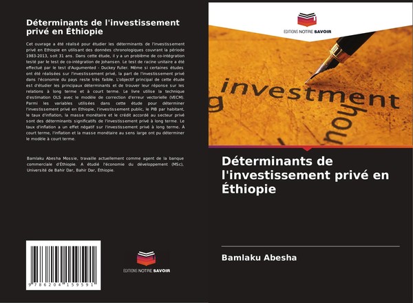 Bamlaku Abesha | DéTerminants De L'investissement Privé En ÉThiopie | Buch-image