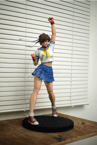 Street Fighters Sakura 3D Printing Unpainted Figure Blank Kit Model GK New Stock - Picture 4 of 8