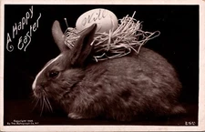 RPPC Easter Bunny with Nest Egg on His Back Rotograph Real Photo Postcard36898.j