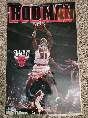 Laminated 1996 Starline Chicago Bulls 22x35 Poster - Dennis Rodman