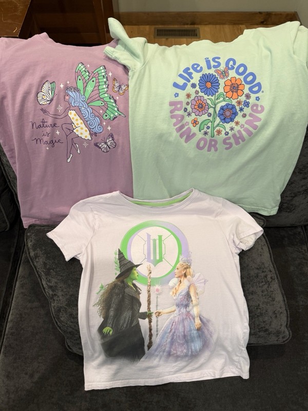 Girls Size Large 10-12 Summer Lot of Clothes, Shirts, Shorts And Dresses