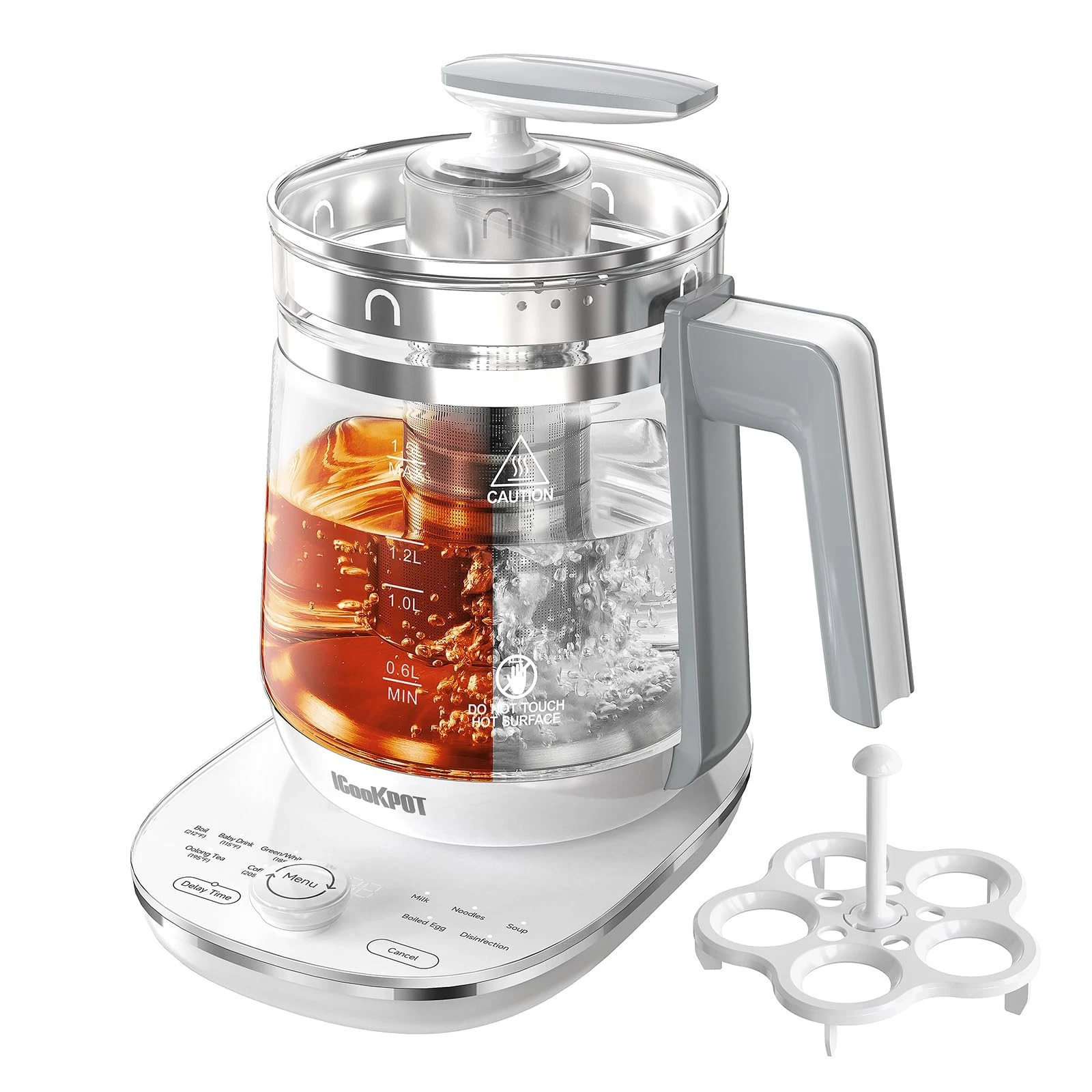 ICOOKPOT Hot Electric Kettle with Tea Infuser and Temperature Control, 1.5L S...